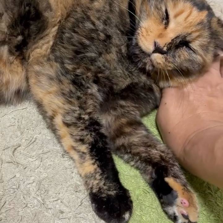 Cb715464 7b5a 421b 9346 8f136b750256 1755779811536