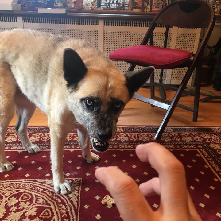 Cb715bb5 d4d6 4537 a82b 1ef1e4ac0695 1535748529644