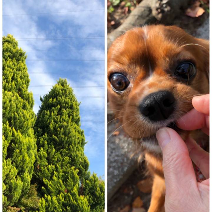 Cb719ed1 b274 4a73 8b82 0d5522d75477 1542497671501