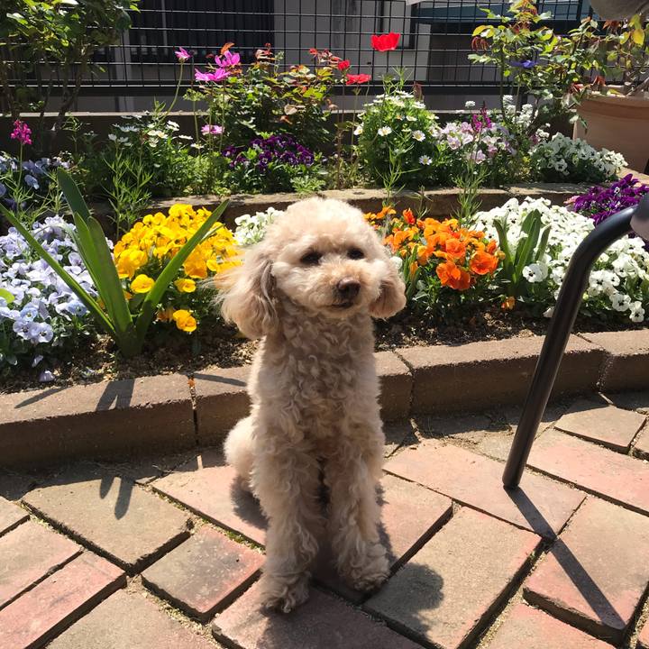 Cb71a44d 1738 4bd2 bccf 708601b78dea 1586617282394