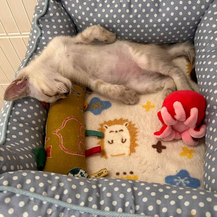 Cb71bb2c 939d 49b7 a682 988ecddb3593 1721823824518