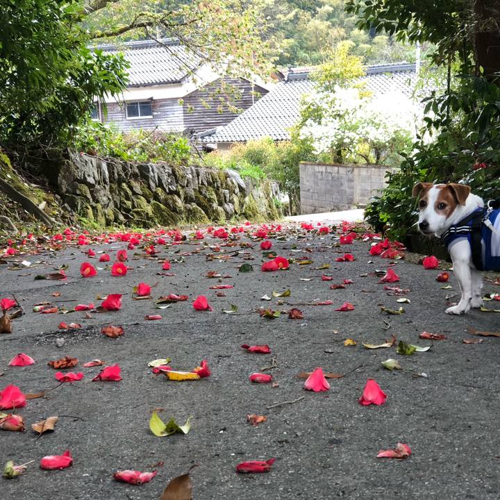 Cb71c261 a2f5 4c47 89fe db9b51e4471c 1745568656338