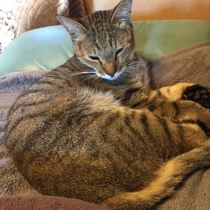 Cb71fcaa 1a5c 4a99 a929 be4a74e8a453 1568676753203