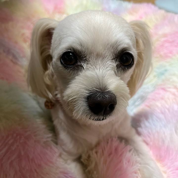 Cb728e77 3fa7 4815 a60c 85d2ec74f229 1691319851475