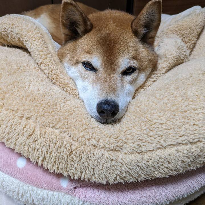 Cb729112 f3ec 466c 88fe 90b83e1ff0a0 1714996438615