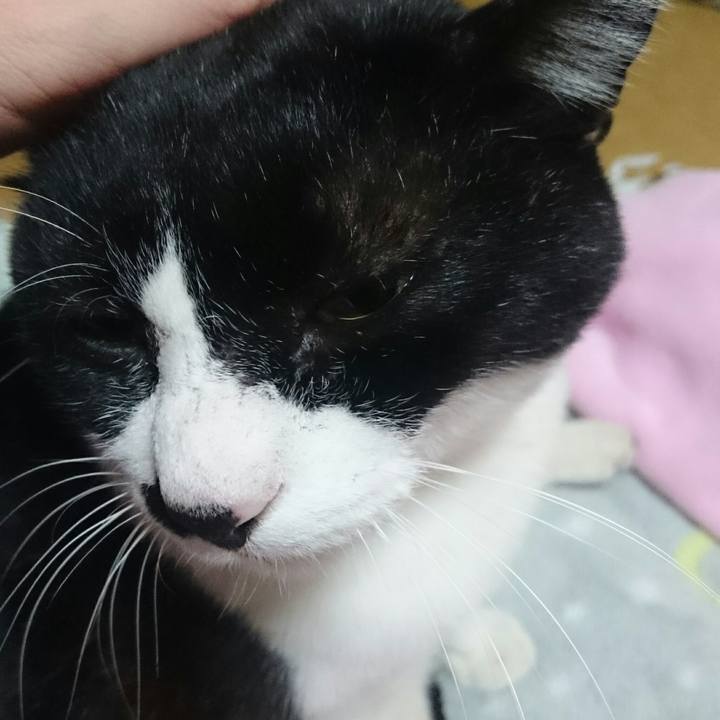 Cb72988c 6179 43b6 aaa3 8107228904ef 1510493129256