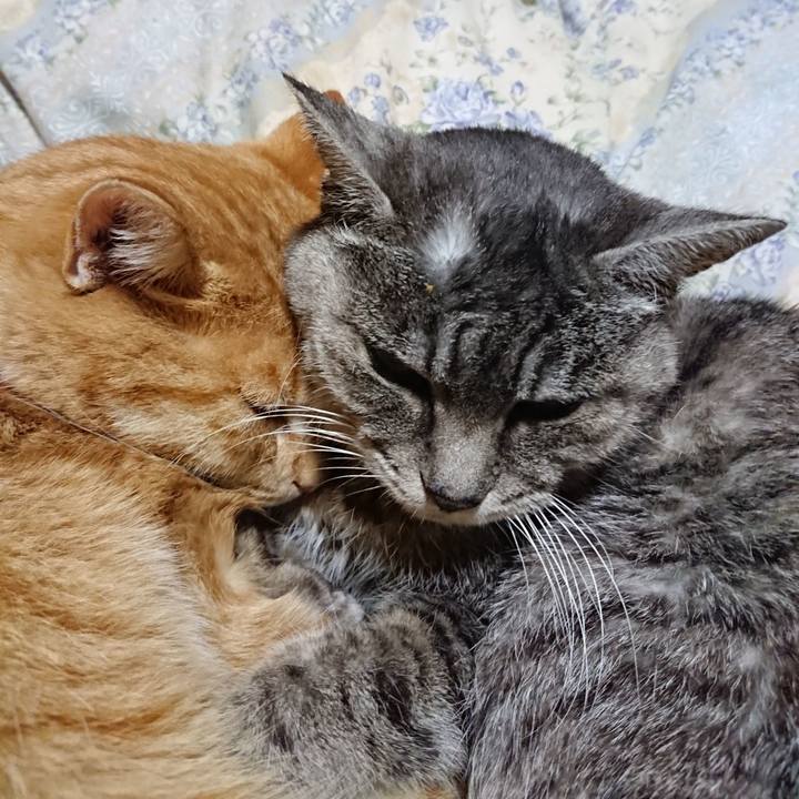 Cb7302b1 1d0a 4386 a066 a63b380ddb8b 1575289766277