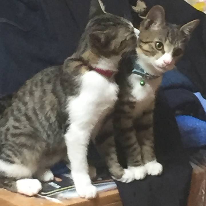 Cb731eae 077c 4d2a 9ab6 79d7456032b0 1659891195566