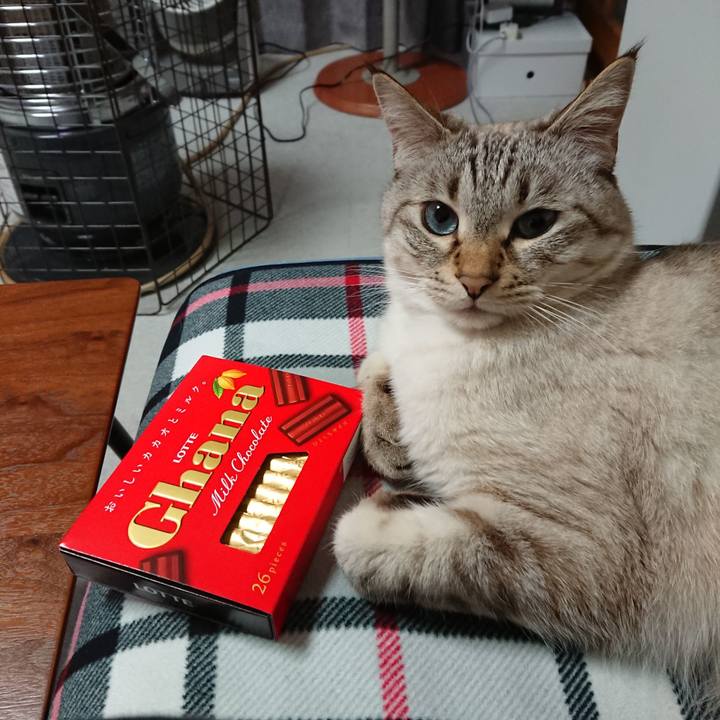 Cb73a164 e9b0 4af1 8418 0b77a3658d9c 1611797770208