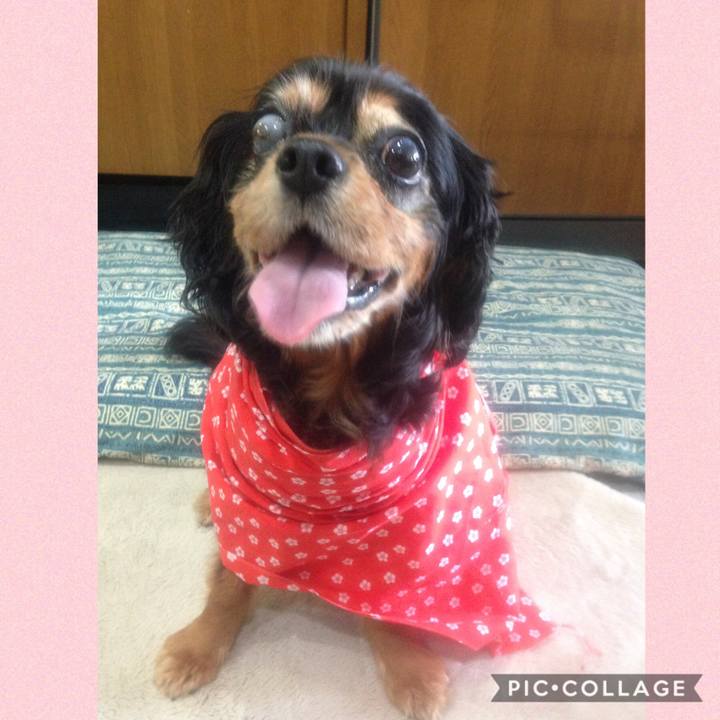 Cb73ad2c f917 4745 8f7b bab0d7d2368f 1588902131866