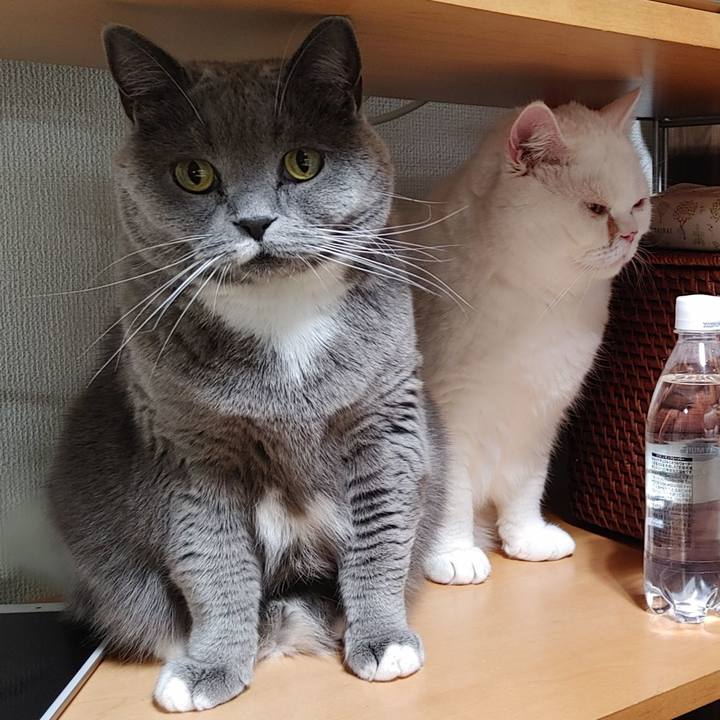 Cb73c352 a5f3 4079 813e 68b4f9e617d7 1646735816852