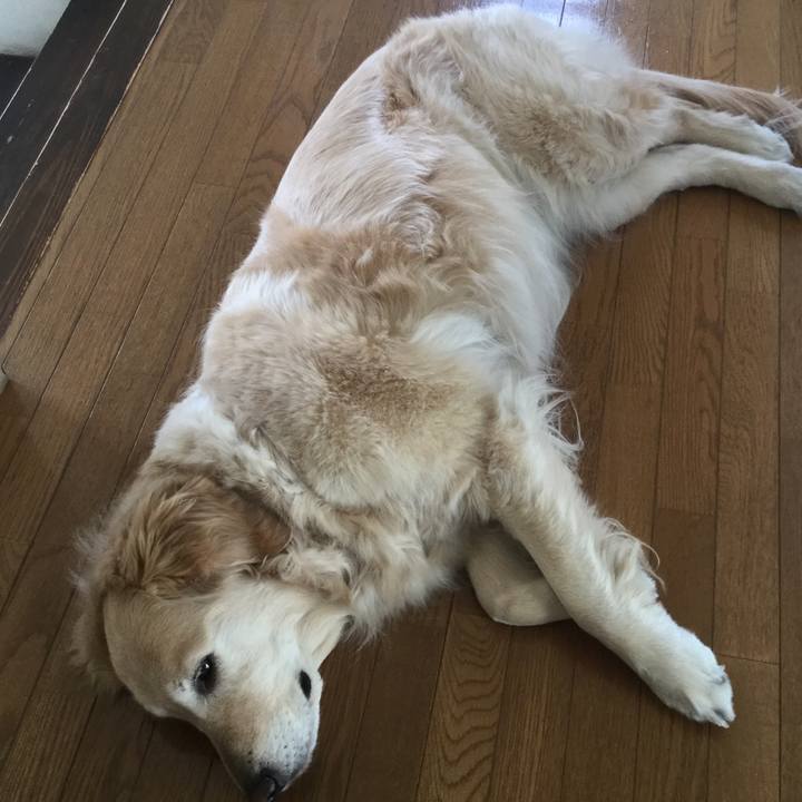 Cb73cee2 1417 426d 8034 5da8a2b3df24 1522647054541