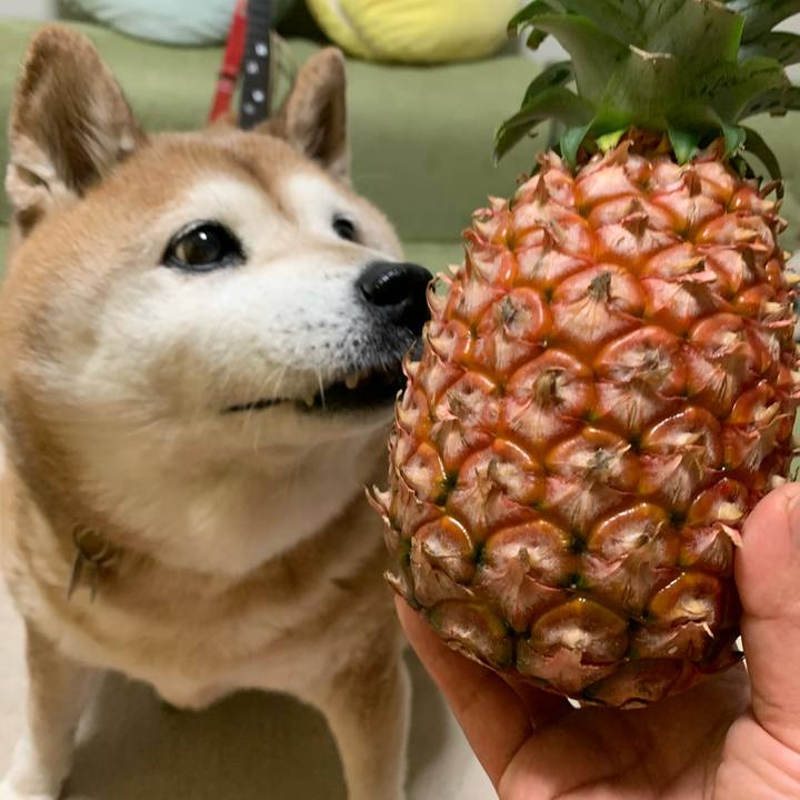 Cb73d929 5929 46fd b05f 50496fbd1298 1591349711033