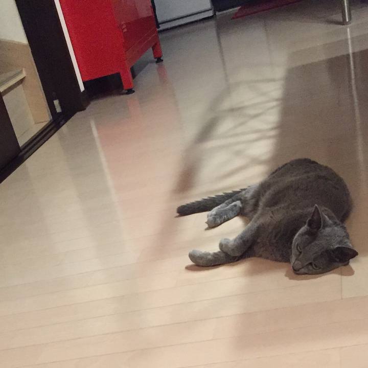 Cb7414e8 de74 4a2e a453 5e614da634e9 1534288760298