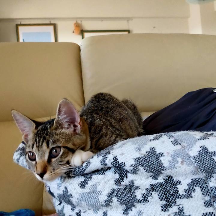 Cb743158 f262 4f1d b99d 75bc5cfe02fe 1628131390646