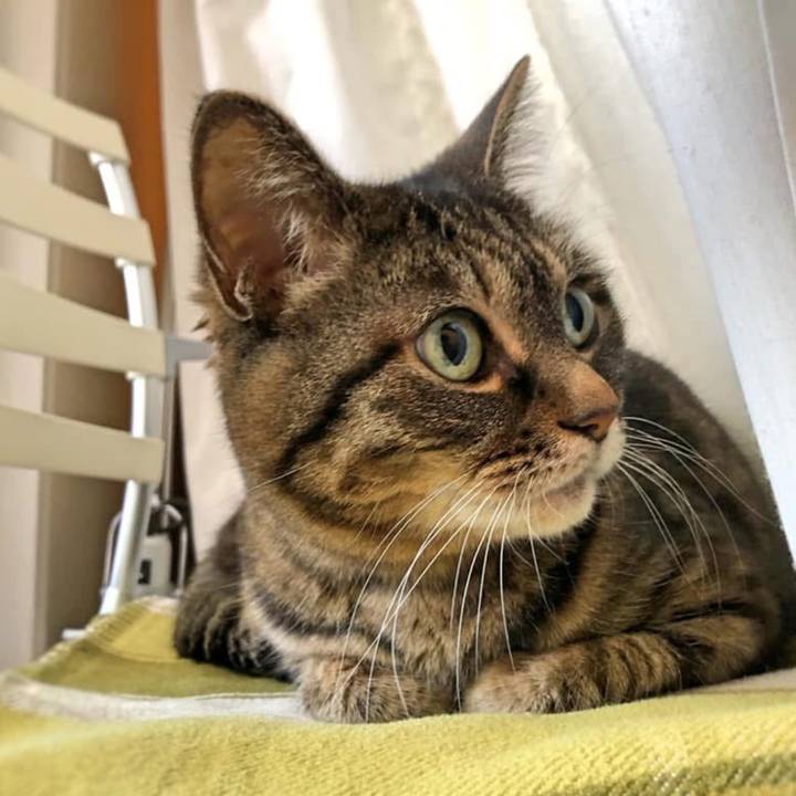 Cb7431f8 792c 4be8 8fe9 e2f3745db198 1775650766986