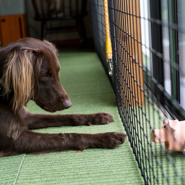 Cb743847 3633 415d b47a eb759a65f405 1624145982438