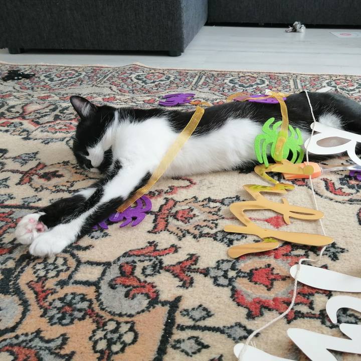 Cb743e59 486b 4436 9f59 3df7a4da298d 1598282666624