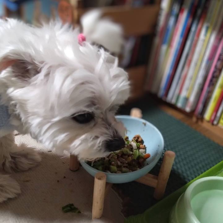 Cb74402c 5cb3 47f9 bb3c 555872e632d3 1736946987642