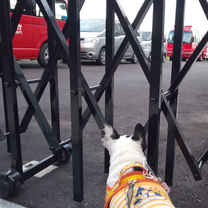 Cb7454d3 4c90 4326 a082 dd0271550e8e 1557574274094