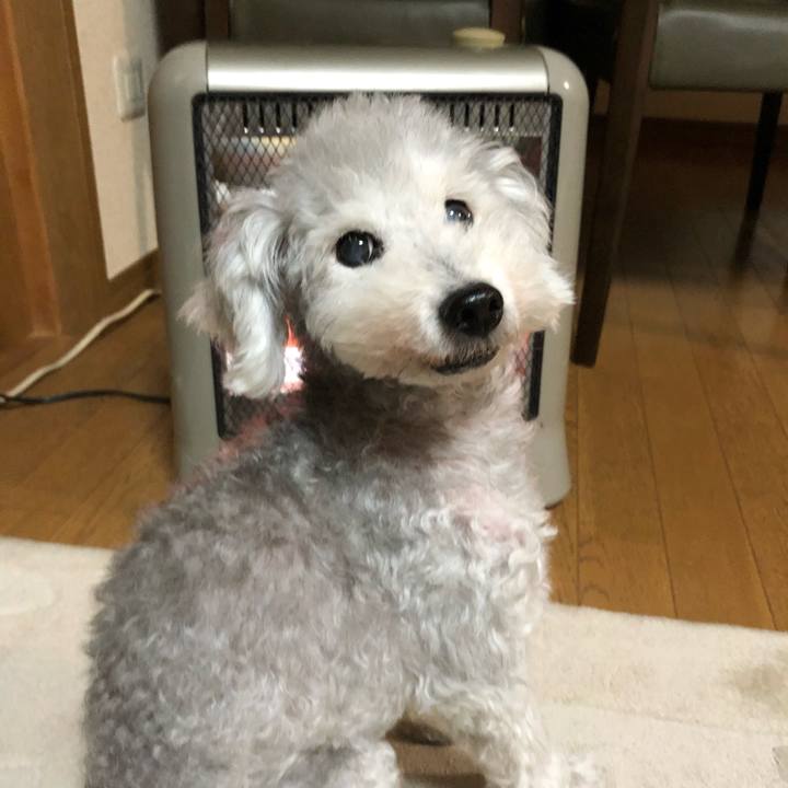 Cb745c44 cd37 4e92 b13c 6477d7ed6180 1634738520825