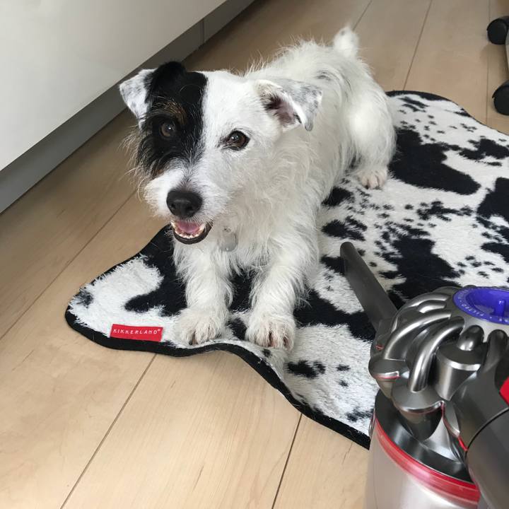 Cb745cfd 0b66 4c31 983a 648bf5d92040 1535504766226