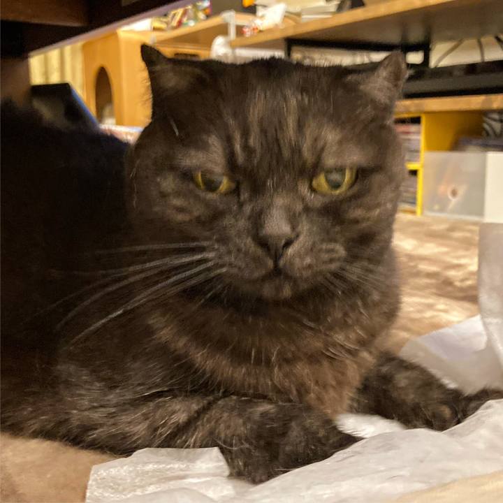 Cb7474de d50d 47fc b749 24be907269b7 1622996459181