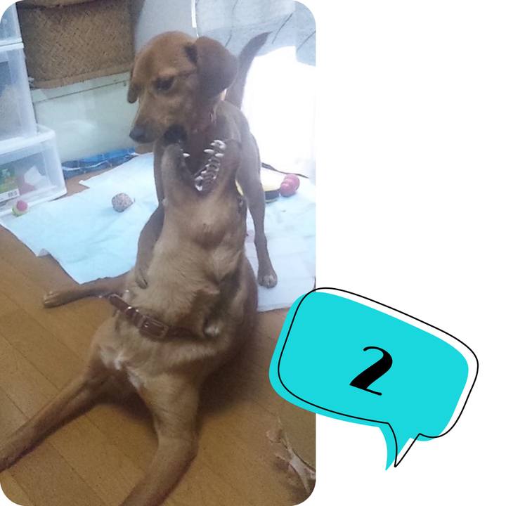 Cb7481fe aeed 43fb b617 d87b8aadf710 1556468758131