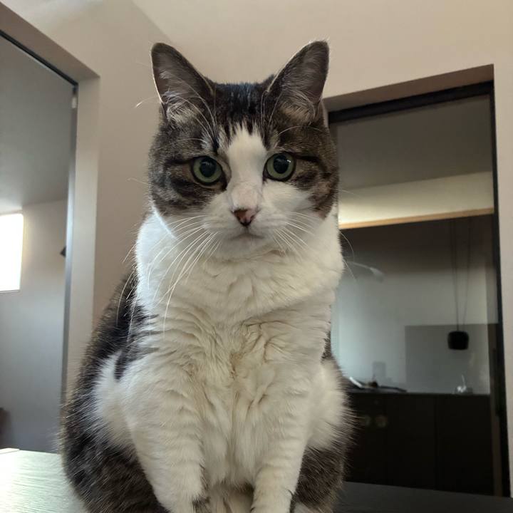 Cb749821 b742 426f a919 fa8c9036cd8a 1766874781125