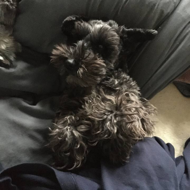 Cb750969 8f8e 449b b70d b6301e36ece3 1584156043357