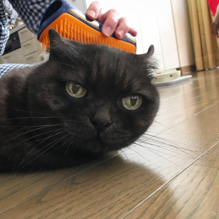 Cb751114 221b 49cd 9212 d56f21afb5b7 1577580326315