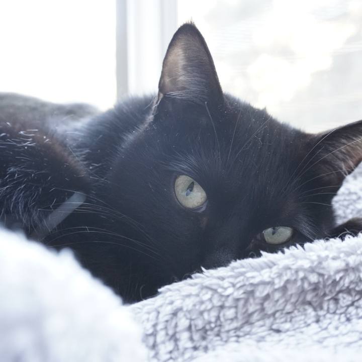 Cb75349b 4374 4373 b7ea 9a9503d7df11 1646553066580