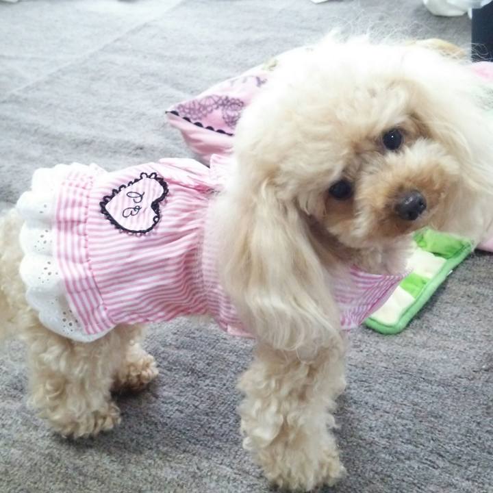 Cb753f4f c82a 44c5 8068 532bdb5807ce 1528792550038