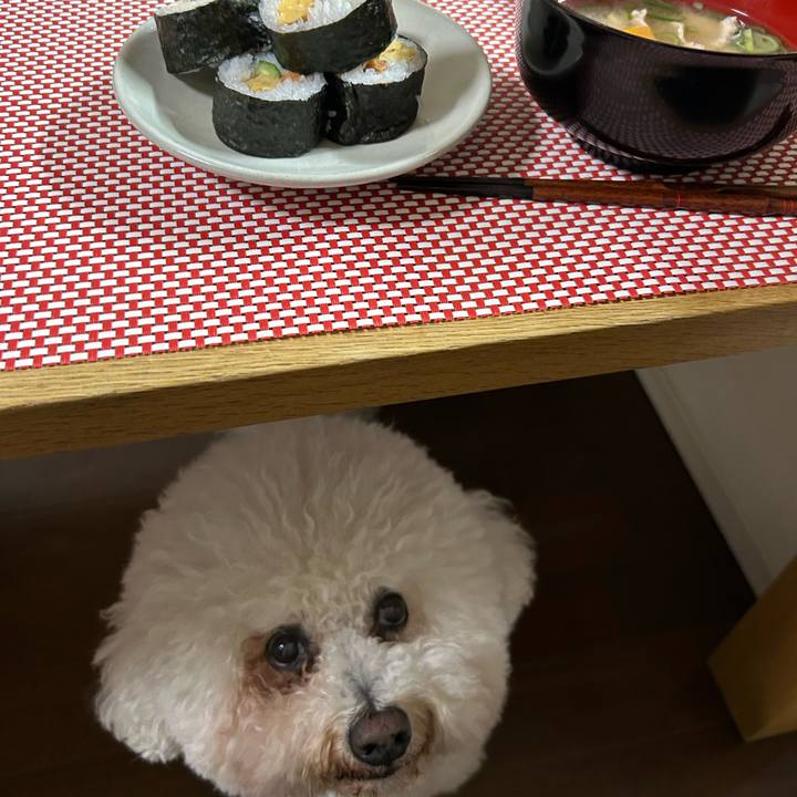 Cb755861 88cc 4633 a874 f0fe5ee0338a 1770117933851