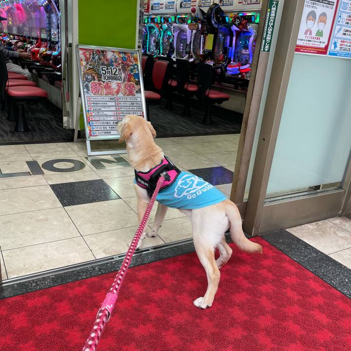 Cb757acd 87df 424d 8a43 12411a89bb09 1622091575055