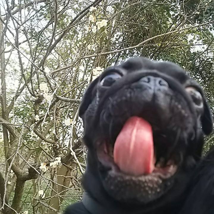 Cb75bb8b e043 4861 844f 4db6ed389991 1521971899154