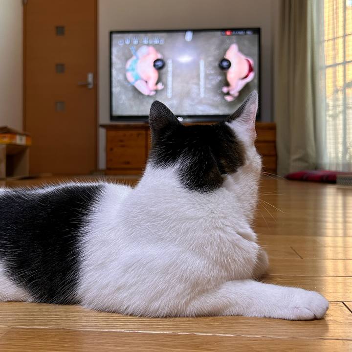 Cb75ce83 b77e 45c0 afff 141e431c749f 1725872239560