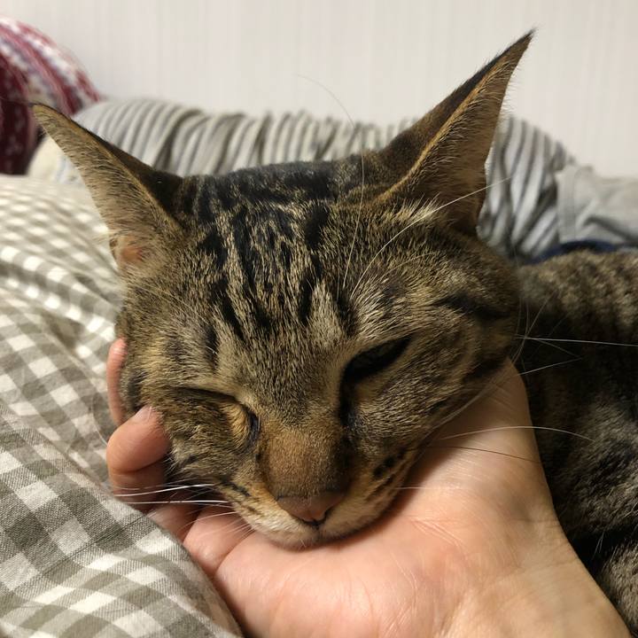 Cb75d7de 5217 4b3e 85ba 067e32cc22ad 1553418141834