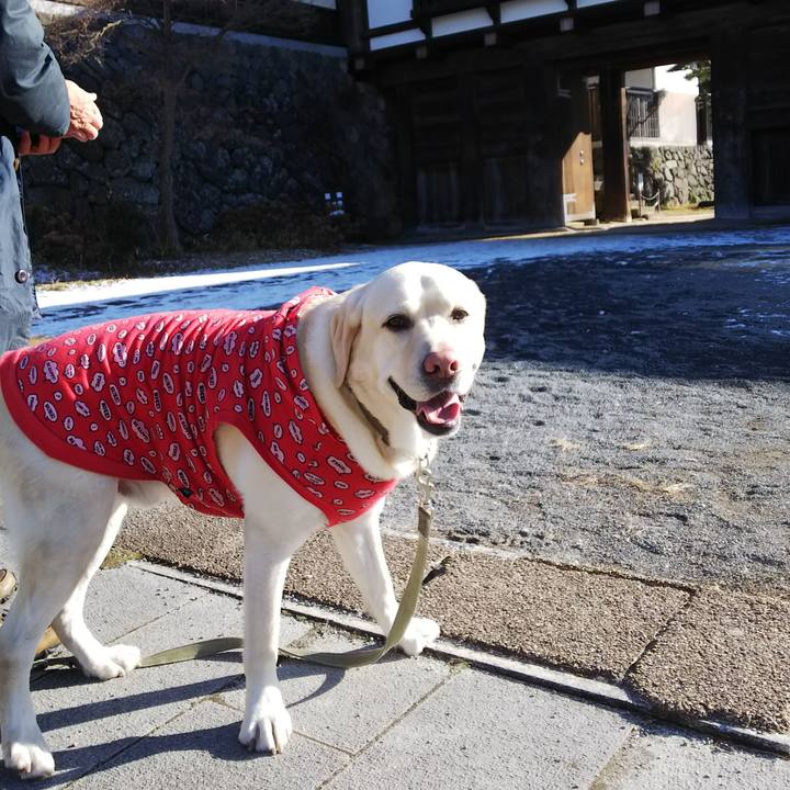 Cb75fc81 debc 473e 987d 5ee6b9774047 1578312137084