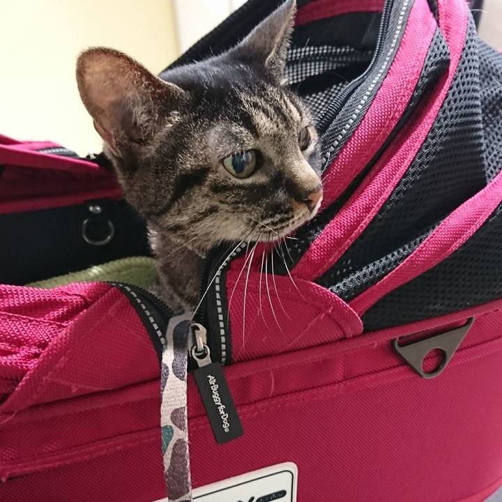 Cb7648b1 c8b5 461b 8072 f8e636642fc4 1603968069901