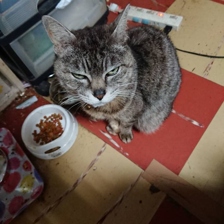 Cb764ffd 9d8f 48c5 bd10 4682f05bac23 1559419932582