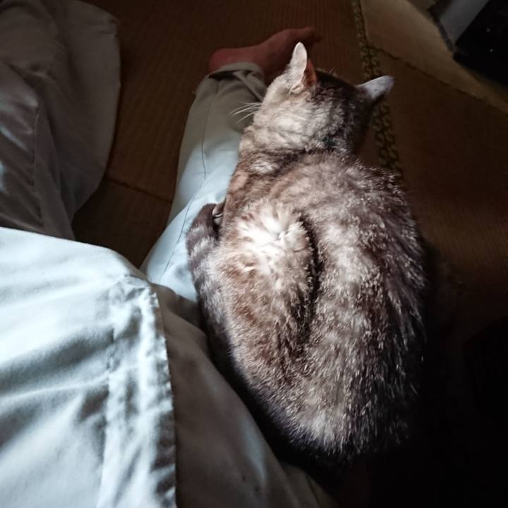 Cb767fe8 7ec1 49e3 ba17 d3403f42a853 1568539969641