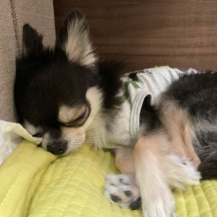 Cb768cd4 72a6 47d7 b478 032b72598576 1684597015036