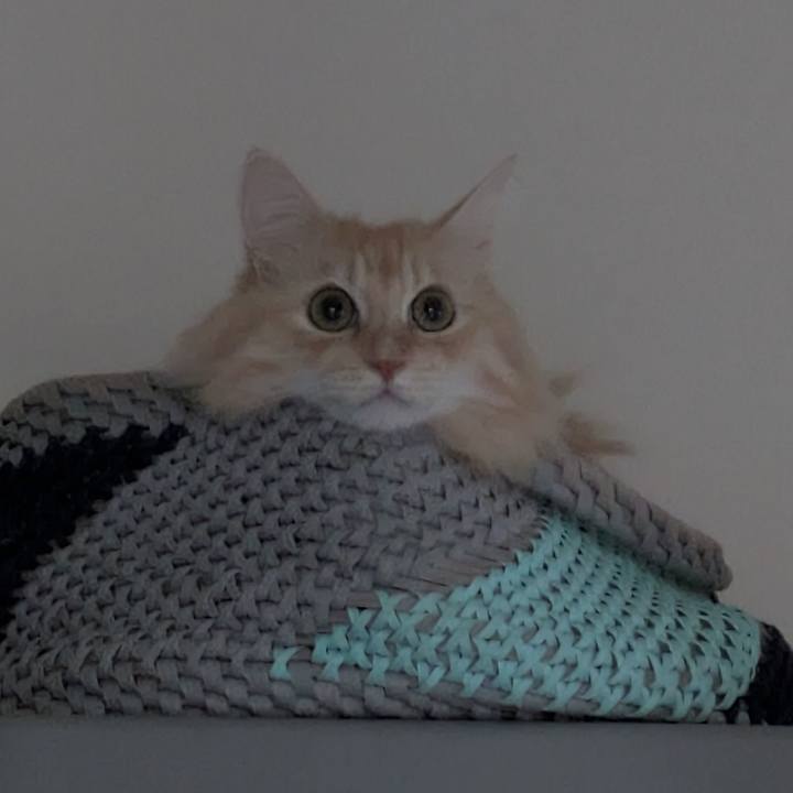 Cb76b18d 5932 4d2a b2d8 399780e80394 1759822077166