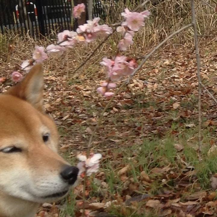 Cb76bb17 d268 45f6 81dd 1f914d7d805a 1519362844013