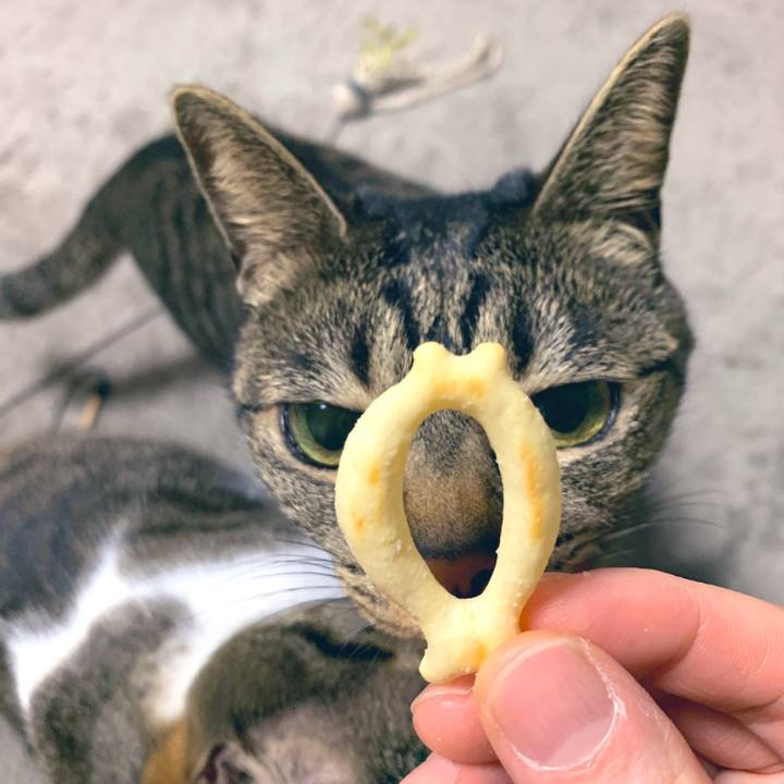 Cb76d308 ddd6 4462 9e84 df460bcc8d47 1555114005906