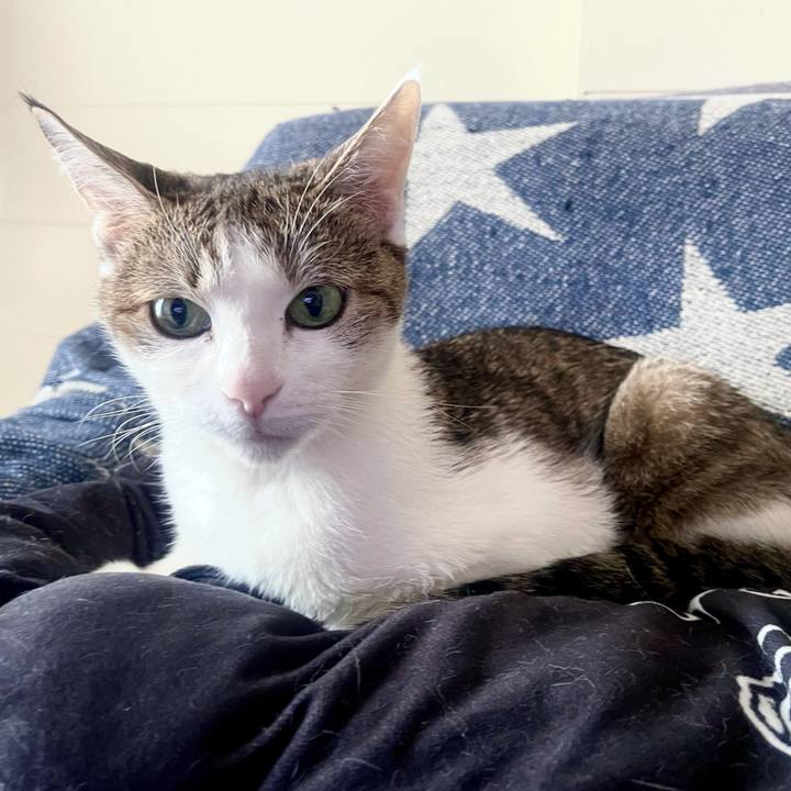 Cb76f800 2e61 48e0 8999 f496d3e8d0d1 1636422220720