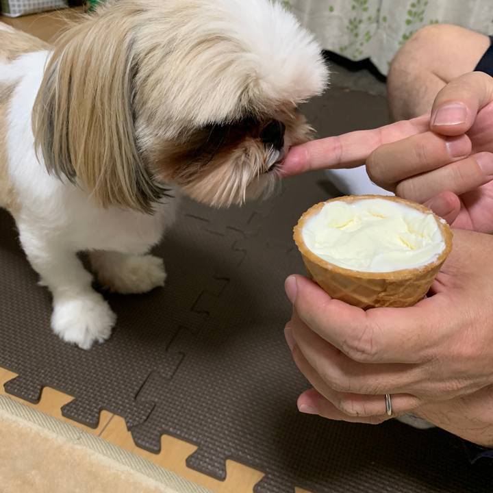 Cb770988 ad9c 454f 8989 851b5f229fee 1628504962295