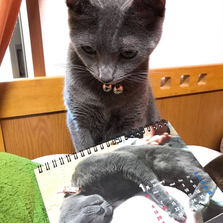 Cb770fc7 186c 481a bf37 e2651f19482a 1546064840347