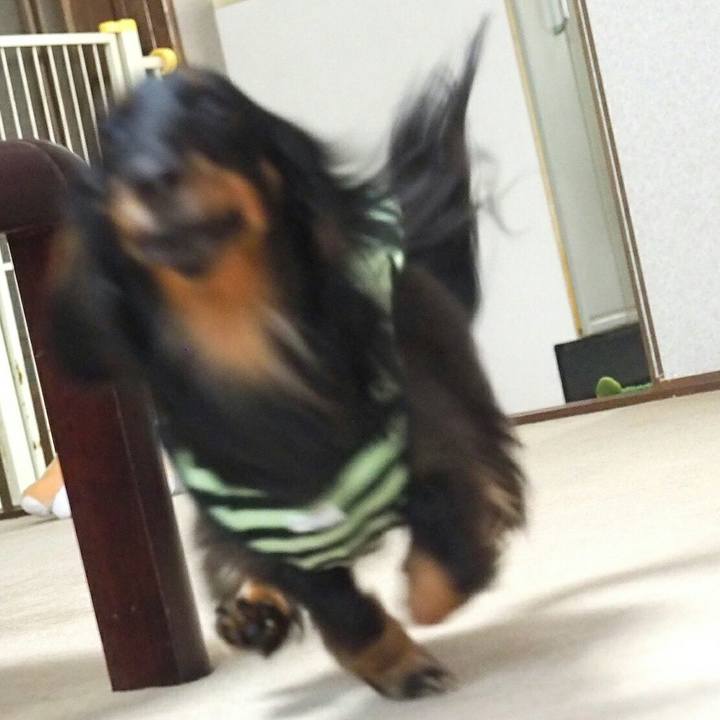 Cb773ac7 43aa 4ee6 9f4b 984cfbe50461 1525227156025